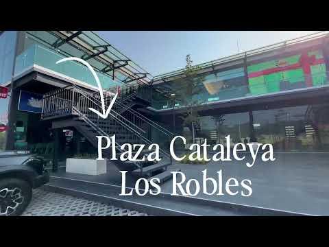 Previsualización de video