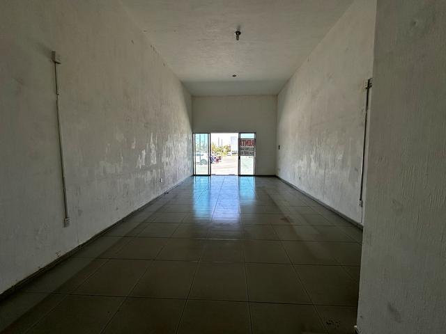 Foto de la galeria de imagenes